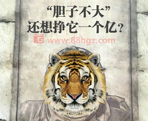 還能更高嗎？與迪瑪希共鳴的，是我們追隨企業(yè)宣傳片的信仰